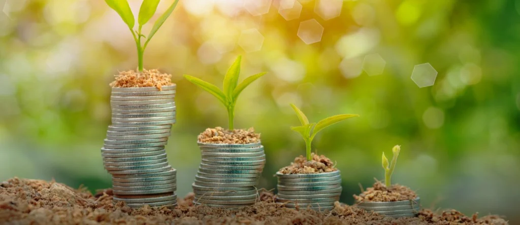 Tata Carnatica Plots Price